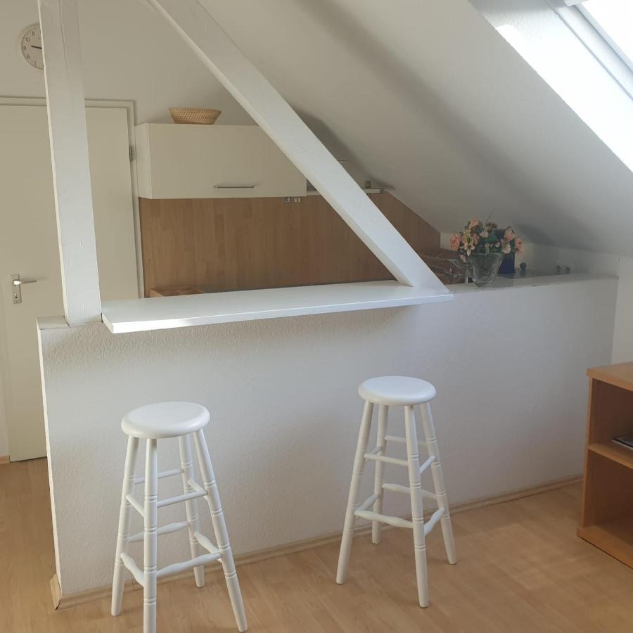 45 M² Maisonette-wohnung In Uni-/hauptbahnhofnaehe Apartment